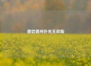 德信德州扑克无敌版