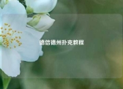 德信德州扑克教程