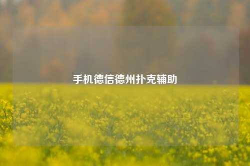 手机德信德州扑克辅助