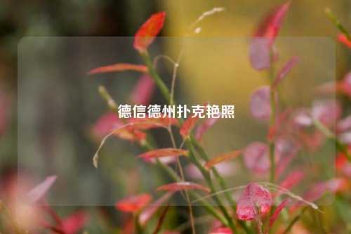 德信德州扑克艳照