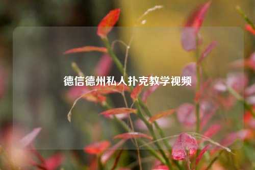 德信德州私人扑克教学视频