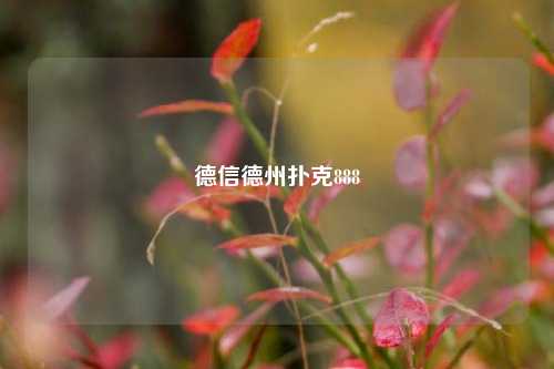 德信德州扑克888