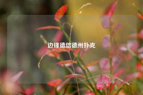 边锋德信德州扑克