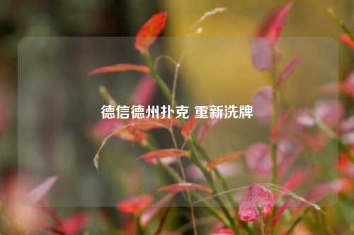德信德州扑克 重新洗牌