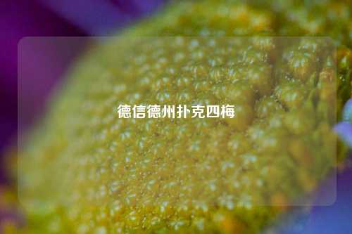 德信德州扑克四梅