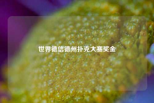 世界德信德州扑克大赛奖金