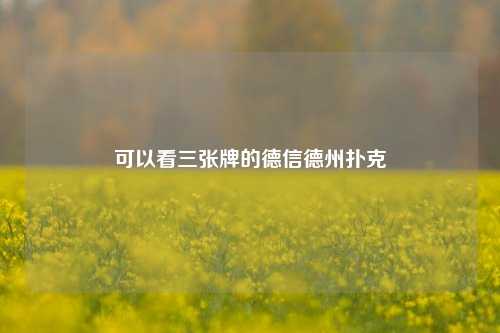 可以看三张牌的德信德州扑克