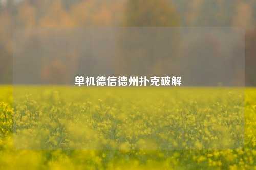 单机德信德州扑克破解