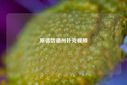 原德信德州扑克视频