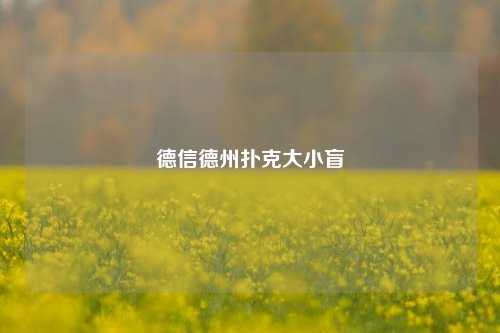 德信德州扑克大小盲