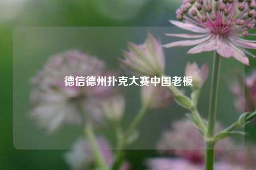 德信德州扑克大赛中国老板