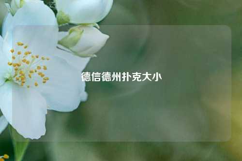 德信德州扑克大小
