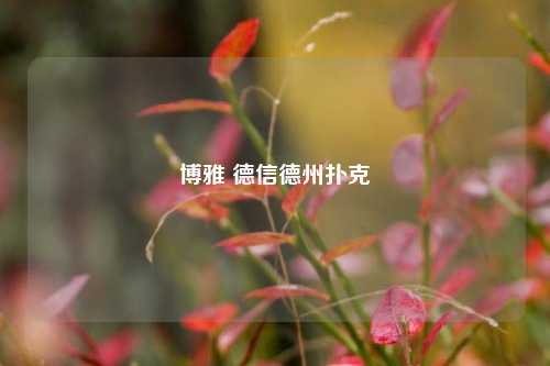博雅 德信德州扑克