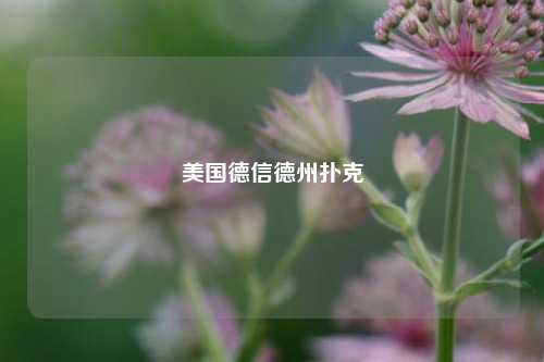 美国德信德州扑克