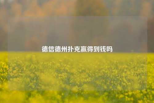 德信德州扑克赢得到钱吗