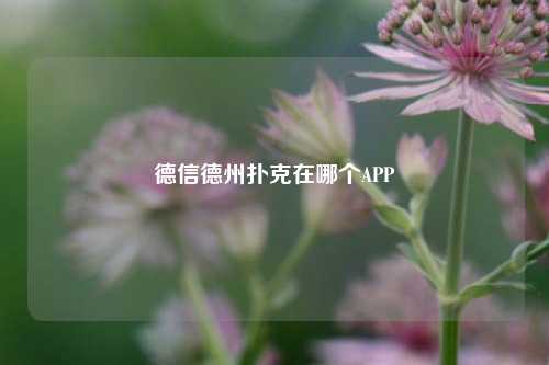 德信德州扑克在哪个APP