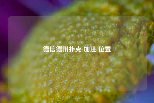德信德州扑克 加注 位置