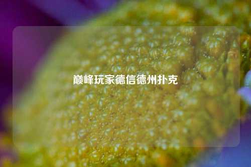 巅峰玩家德信德州扑克