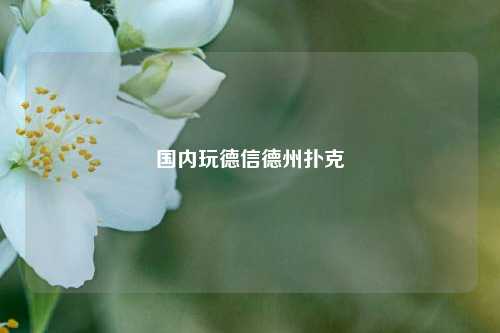 国内玩德信德州扑克