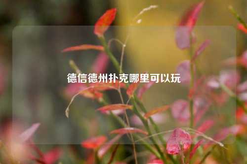 德信德州扑克哪里可以玩