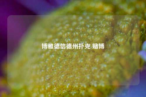 博雅德信德州扑克 赌博