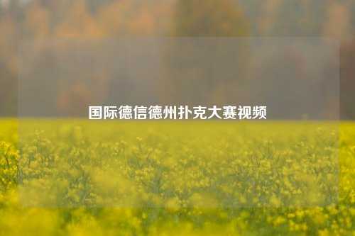 国际德信德州扑克大赛视频