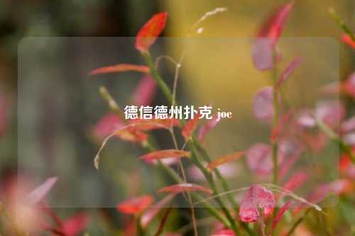 德信德州扑克 joe