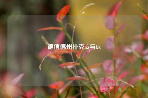 德信德州扑克aa与kk